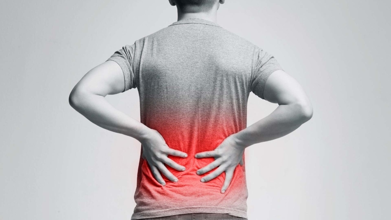 4 Easy Stretches For Back Pain - Orchard Health Clinic - Osteopathy,  Physiotherapy and Chiropractic