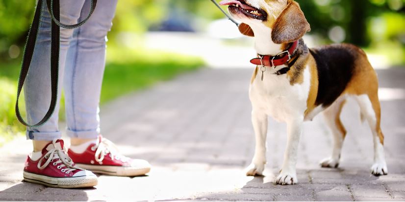 Managing Multiple Sclerosis Through Rehabilitation