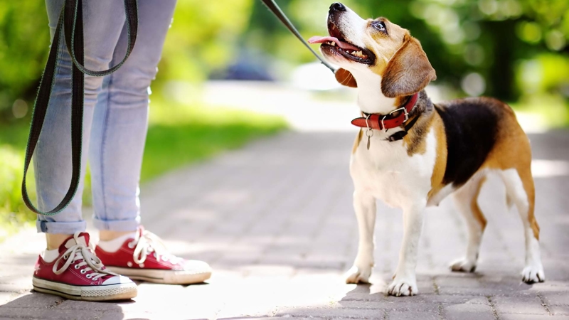 What is an unsteady gait?